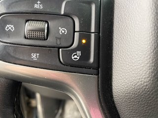 2019 Chevrolet Silverado 1500 in St-Jérôme, Quebec - 12 - w320h240px