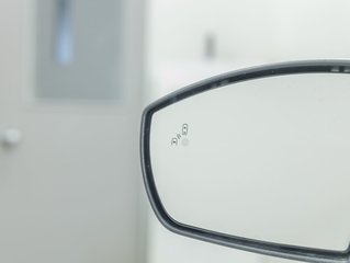 Ford EcoSport  2018 à St-Jérôme, Québec - 33 - w320h240px