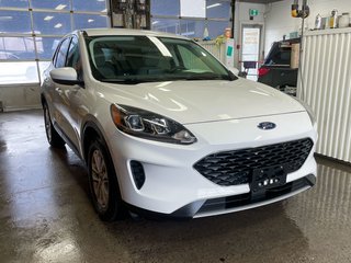 Ford Escape  2021 à St-Jérôme, Québec - 9 - w320h240px
