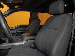 Ford F-150  2019 à St-Jérôme, Québec - 10 - w320h240px