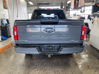 Ford F-150  2021 à St-Jérôme, Québec - 6 - w320h240px