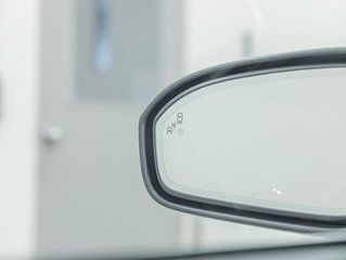 2019 Ford FUSION HYBRID in St-Jérôme, Quebec - 32 - w320h240px