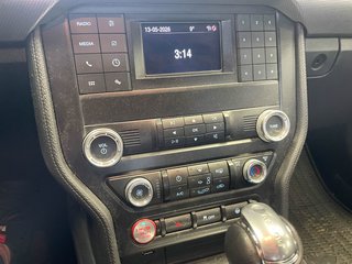 Ford Mustang  2019 à St-Jérôme, Québec - 13 - w320h240px
