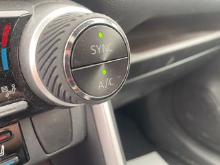 2019 Toyota RAV4 in St-Jérôme, Quebec - 17 - w320h240px