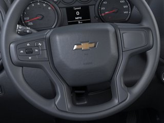 Chevrolet Silverado 1500  2025 à St-Jérôme, Québec - 19 - w320h240px