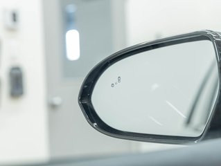 2020 Kia Niro EV in St-Jérôme, Quebec - 33 - w320h240px