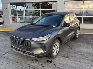 2024 Ford Escape Active in Gander, Newfoundland and Labrador - 2 - w320h240px