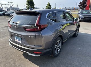 2020 Honda CR-V LX in Gander, Newfoundland and Labrador - 5 - w320h240px