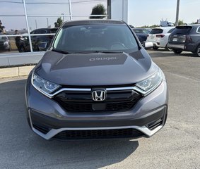 2020 Honda CR-V LX in Gander, Newfoundland and Labrador - 3 - w320h240px