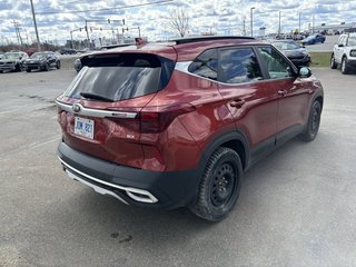 2021 Kia Seltos EX in Gander, Newfoundland and Labrador - 6 - w320h240px