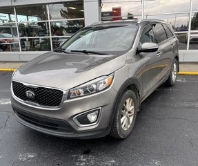 2016 Kia Sorento 2.4L LX in Gander, Newfoundland and Labrador - 2 - w320h240px