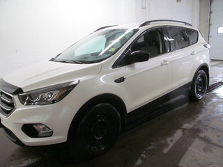 2018 Ford Escape SE in Dartmouth, Nova Scotia - 2 - w320h240px