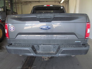 2019 Ford F-150 XL in Dartmouth, Nova Scotia - 3 - w320h240px