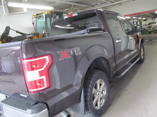 2019 Ford F-150 XLT in Dartmouth, Nova Scotia - 4 - w320h240px