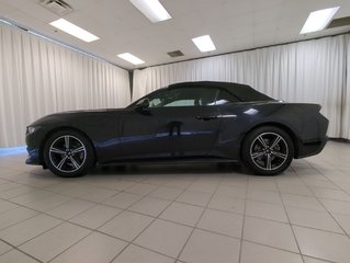 2024 Ford Mustang EcoBoost Premium in Dartmouth, Nova Scotia - 5 - w320h240px