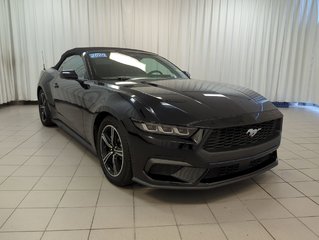 2024 Ford Mustang EcoBoost Premium in Dartmouth, Nova Scotia - 2 - w320h240px