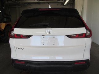 2023 Honda CR-V LX in Dartmouth, Nova Scotia - 3 - w320h240px