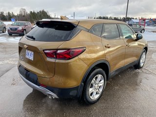2019 Chevrolet Blazer in Deer Lake, Newfoundland and Labrador - 18 - w320h240px
