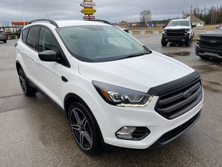2019 Ford Escape in Deer Lake, Newfoundland and Labrador - 13 - w320h240px