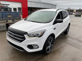 2019 Ford Escape in Deer Lake, Newfoundland and Labrador - 11 - w320h240px
