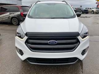2019 Ford Escape in Deer Lake, Newfoundland and Labrador - 12 - w320h240px