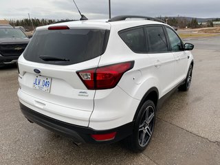 2019 Ford Escape in Deer Lake, Newfoundland and Labrador - 16 - w320h240px