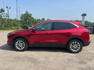 Ford Escape SE 2020 à North Bay, Ontario - 2 - w320h240px