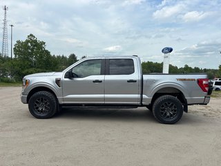 2022 Ford F-150 Tremor in North Bay, Ontario - 2 - w320h240px