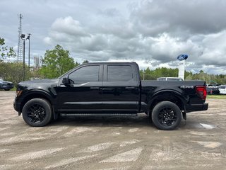 2024 Ford F-150 STX in North Bay, Ontario - 2 - w320h240px