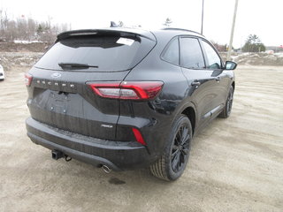 2024 Ford Escape ST-Line Elite in North Bay, Ontario - 5 - w320h240px