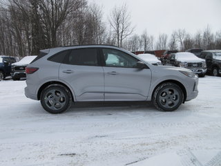 2024 Ford Escape ST-Line in North Bay, Ontario - 6 - w320h240px