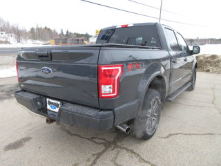 2016 Ford F-150 XLT in North Bay, Ontario - 5 - w320h240px