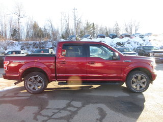 2019 Ford F-150 XLT in North Bay, Ontario - 6 - w320h240px