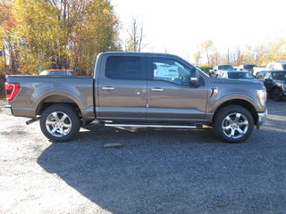 2023 Ford F-150 XLT in North Bay, Ontario - 6 - w320h240px