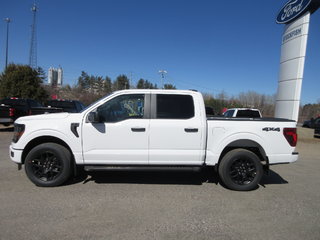 2024 Ford F-150 STX in North Bay, Ontario - 2 - w320h240px