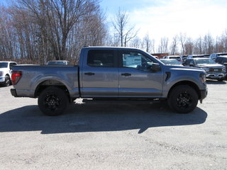 2024 Ford F-150 STX in North Bay, Ontario - 6 - w320h240px