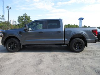 2024 Ford F-150 STX in North Bay, Ontario - 2 - w320h240px