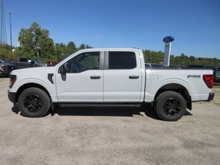 2024 Ford F-150 STX in North Bay, Ontario - 2 - w320h240px