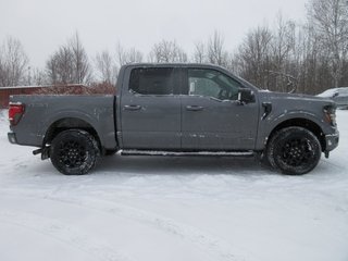 Ford F-150 XLT 2025 à North Bay, Ontario - 6 - w320h240px
