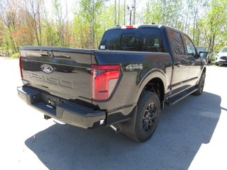 Ford F-150 XLT 2025 à North Bay, Ontario - 5 - w320h240px