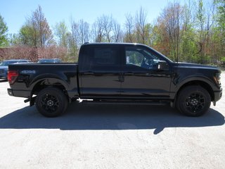 Ford F-150 XLT 2025 à North Bay, Ontario - 6 - w320h240px