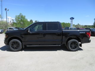 Ford F-150 XLT 2025 à North Bay, Ontario - 2 - w320h240px