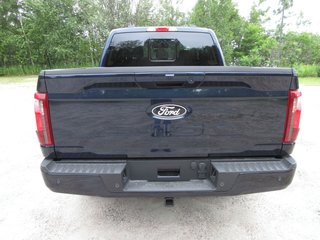 Ford F-150 XLT 2025 à North Bay, Ontario - 4 - w320h240px