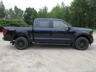 Ford F-150 XLT 2025 à North Bay, Ontario - 6 - w320h240px