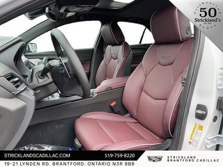 2024  CT4 Sport in Brantford, Ontario - 6 - w320h240px