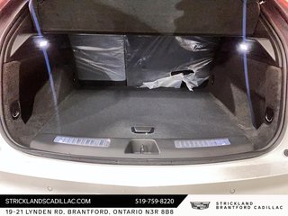 2025 Cadillac XT4 Sport in Brantford, Ontario - 6 - w320h240px