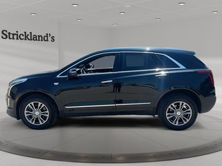 2023 Cadillac XT5 Premium Luxury AWD in Stratford, Ontario - 5 - w320h240px