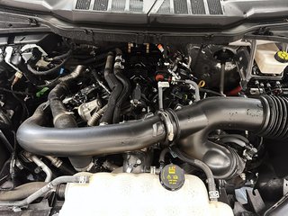 2024 Ford F-150 4x4 SuperCrew XLT - 157 WB in Stratford, Ontario - 6 - w320h240px