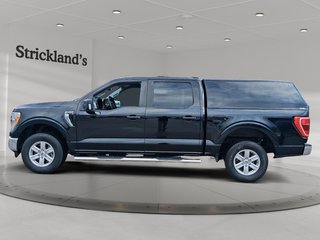 2021 Ford F150 4x4 - Supercrew XLT - 145 WB in Stratford, Ontario - 5 - w320h240px