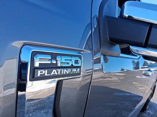2021 Ford F150 4x4 - Supercrew Platinum - 145 WB in Stratford, Ontario - 6 - w320h240px